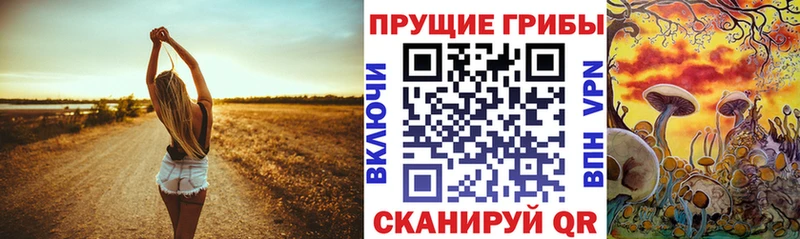 Галлюциногенные грибы MAGIC MUSHROOMS Новотроицк